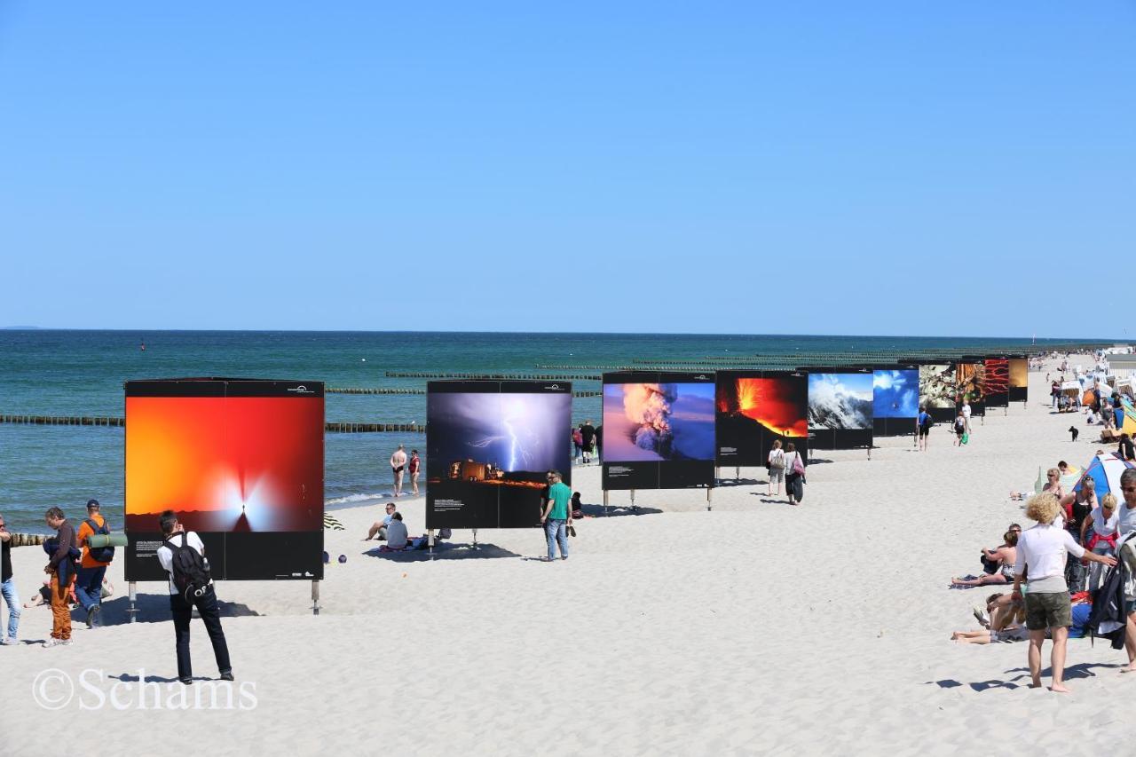 Ostseelagune Zingst, Exklusive Dhh, Strandnah, Sauna, Kamin, 3 Sz, 2 Baeder, Glasfaser, Haustierfrei, Garten Mit Suedterrasse, E-Ladesaeule, 2 Stellplaetze, Strandkorb, Fahrradschuppen, Waschmaschine, Trockner, Nichtraucher Exterior foto