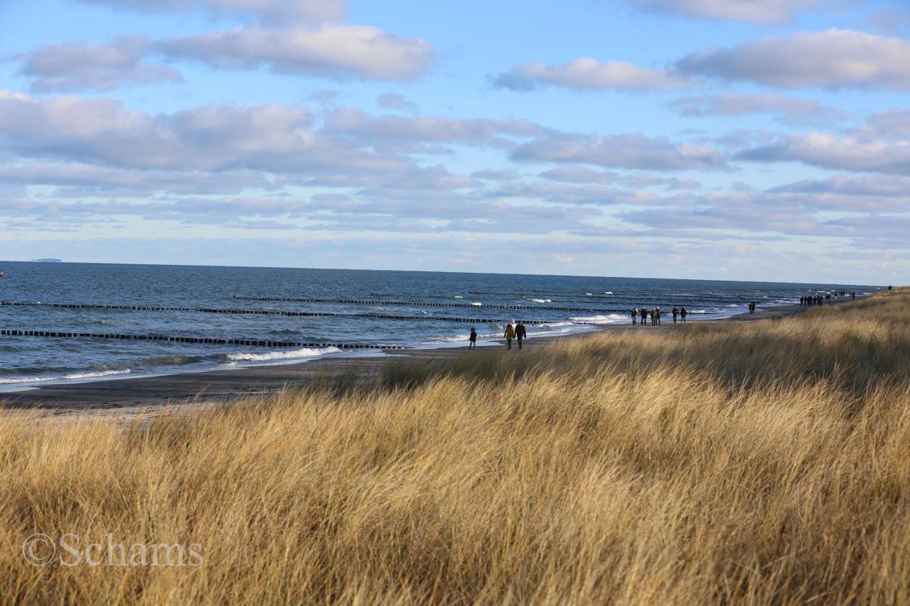 Ostseelagune Zingst, Exklusive Dhh, Strandnah, Sauna, Kamin, 3 Sz, 2 Baeder, Glasfaser, Haustierfrei, Garten Mit Suedterrasse, E-Ladesaeule, 2 Stellplaetze, Strandkorb, Fahrradschuppen, Waschmaschine, Trockner, Nichtraucher Exterior foto