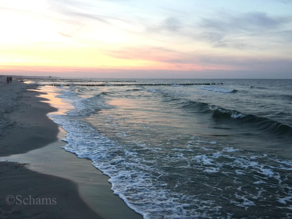 Ostseelagune Zingst, Exklusive Dhh, Strandnah, Sauna, Kamin, 3 Sz, 2 Baeder, Glasfaser, Haustierfrei, Garten Mit Suedterrasse, E-Ladesaeule, 2 Stellplaetze, Strandkorb, Fahrradschuppen, Waschmaschine, Trockner, Nichtraucher Exterior foto