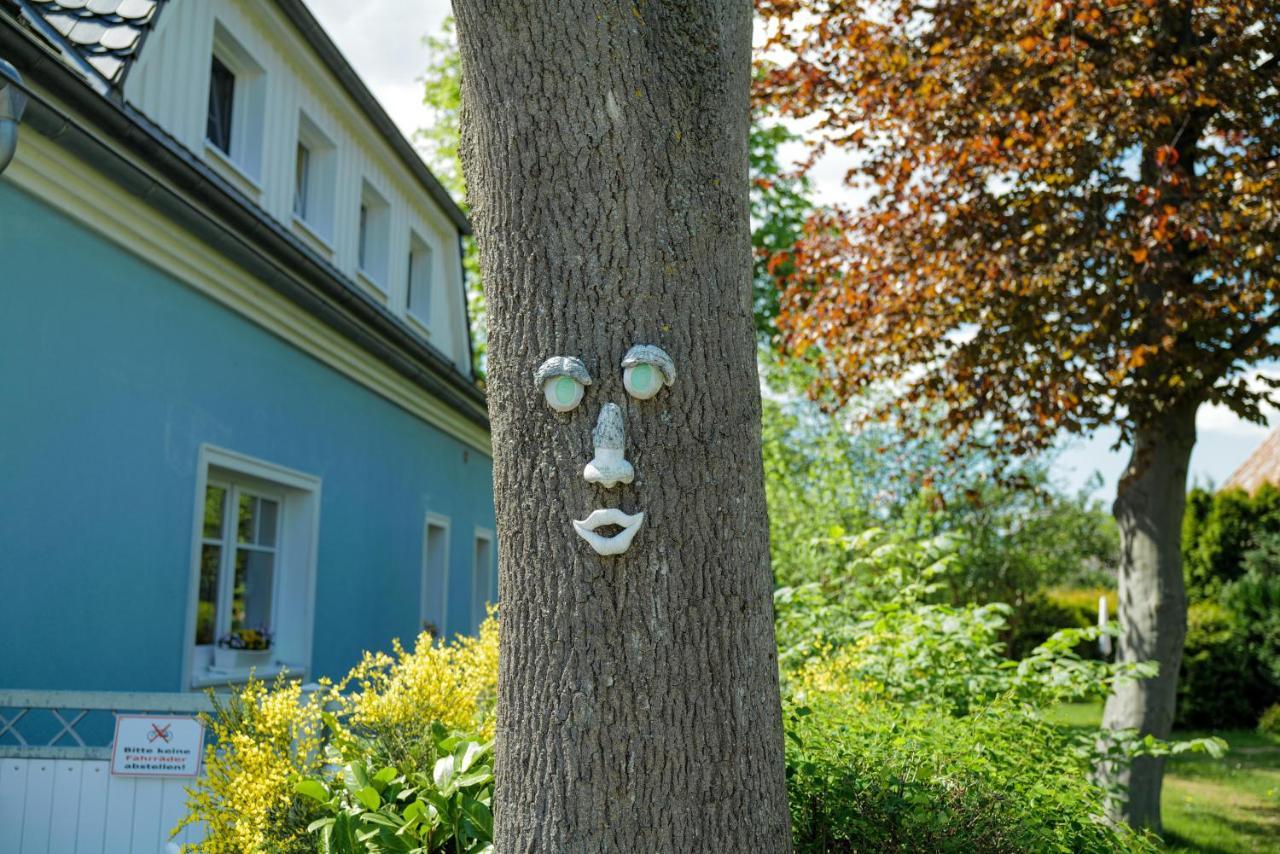 Ostseelagune Zingst, Exklusive Dhh, Strandnah, Sauna, Kamin, 3 Sz, 2 Baeder, Glasfaser, Haustierfrei, Garten Mit Suedterrasse, E-Ladesaeule, 2 Stellplaetze, Strandkorb, Fahrradschuppen, Waschmaschine, Trockner, Nichtraucher Exterior foto